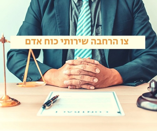 צו הרחבה בענף אספקת שירותי כוח אדם 2004 · לשון הצו