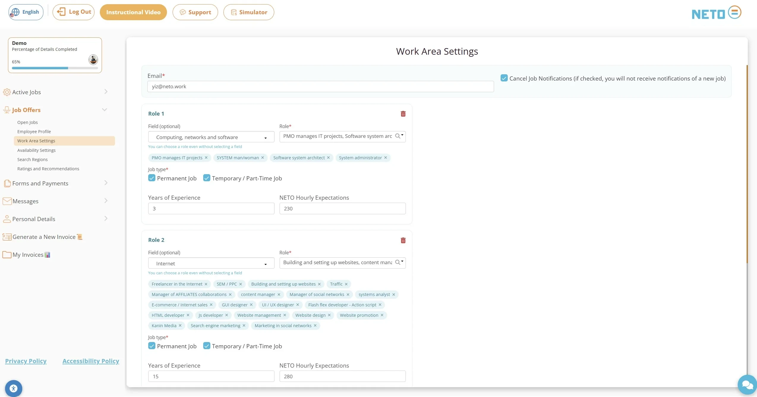 Step 3 · Defining work fields and roles with salary expectations in the NETO system
