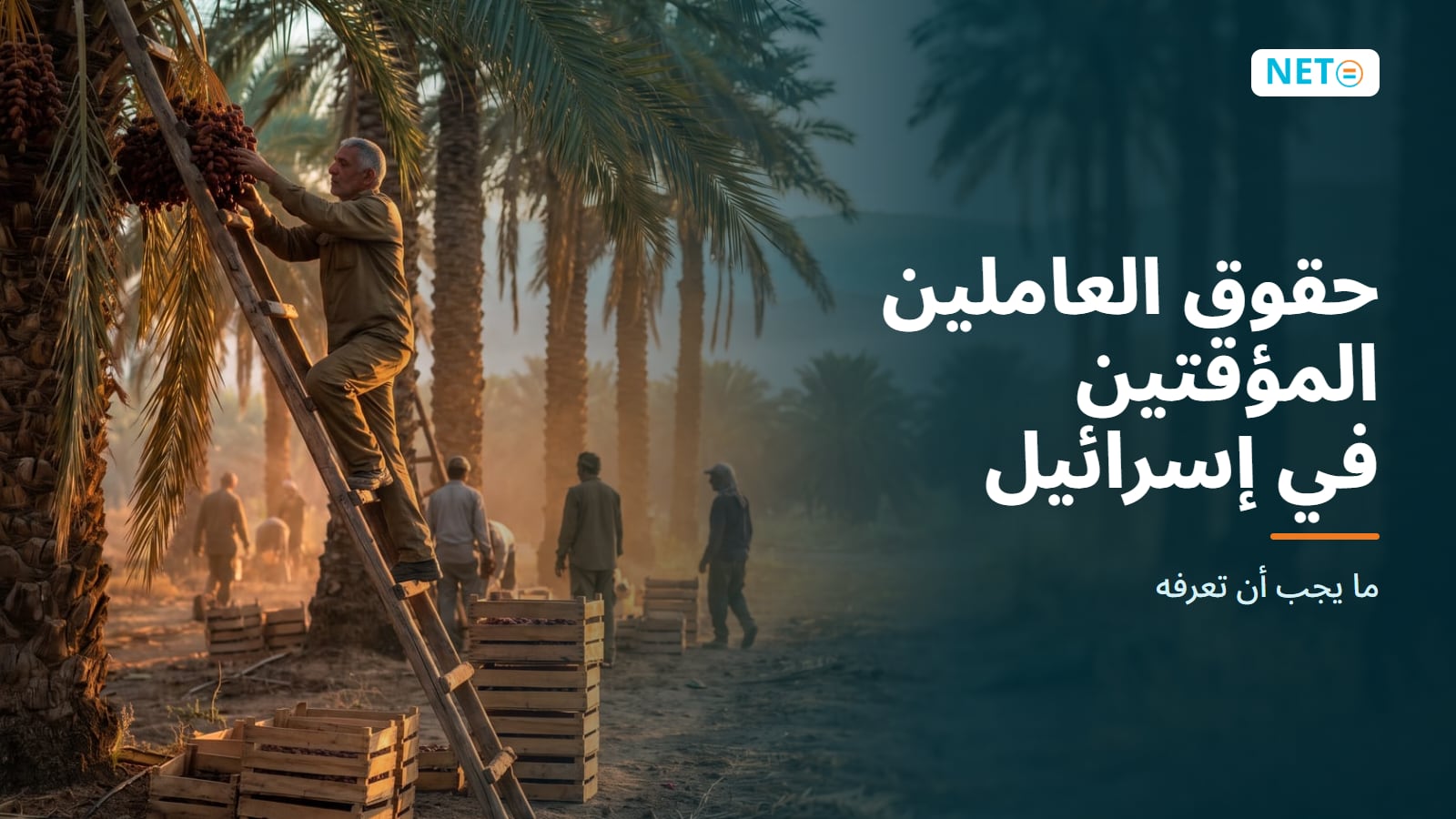 حقوق العاملين المؤقتين في إسرائيل · دليل 2025 · NETO ("נטו עבודה")
