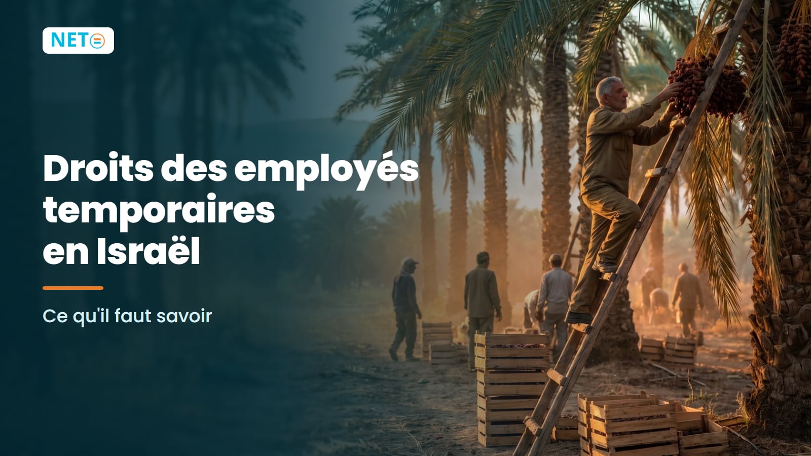 Droits des employés temporaires en Israël · Guide 2025 · NETO ("נטו עבודה")