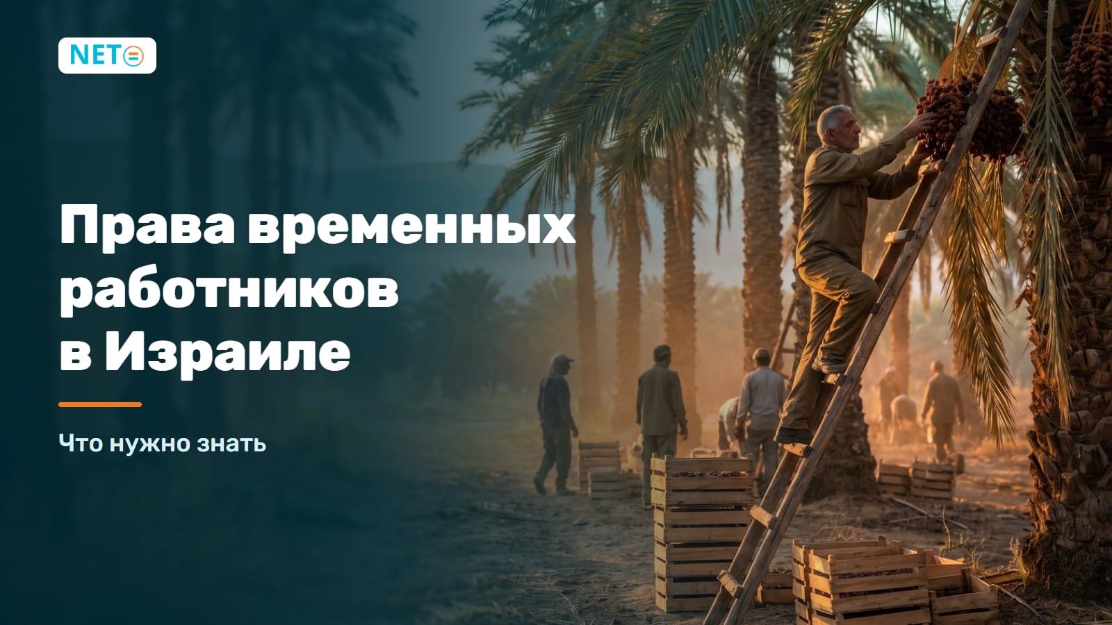 Права временных работников в Израиле · Гид 2025 · NETO ("נטו עבודה")